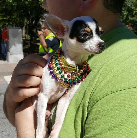 Meet your Posher, Chesley - Picture 3 of 3