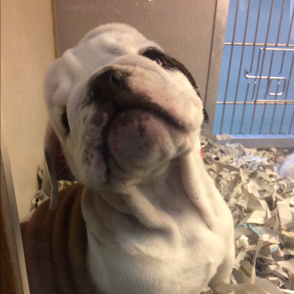 Meet your Posher, Ginna