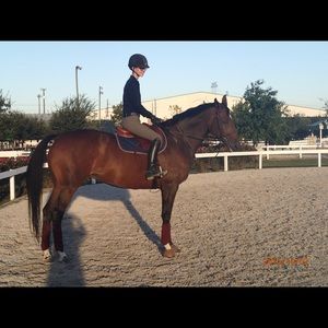 Meet your Posher, Jessie