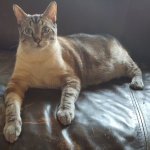 Meet your Posher, Eve