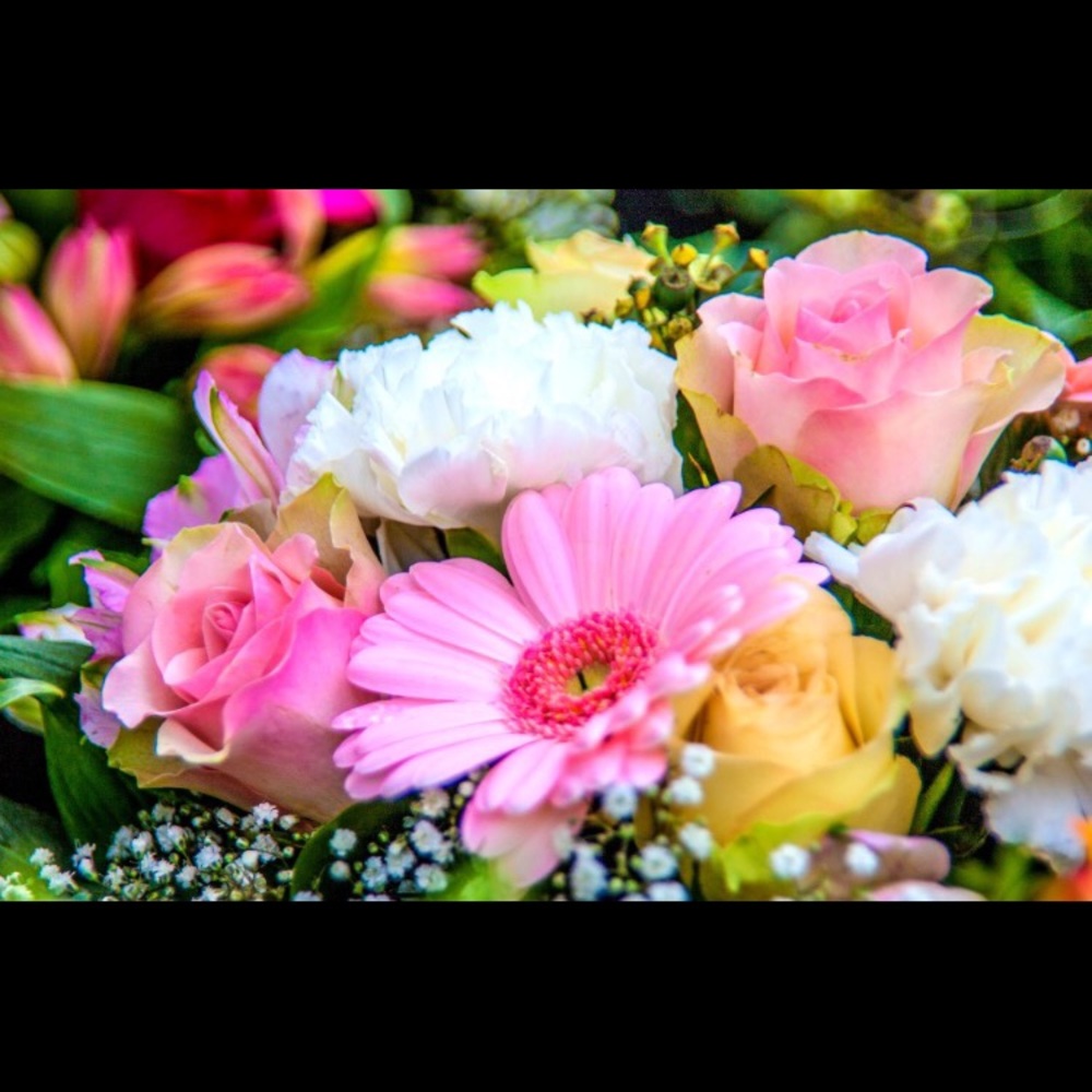 Meet your Posher, Christina