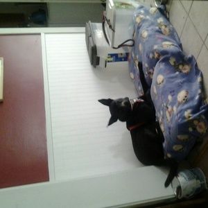 Meet your Posher, Jaela