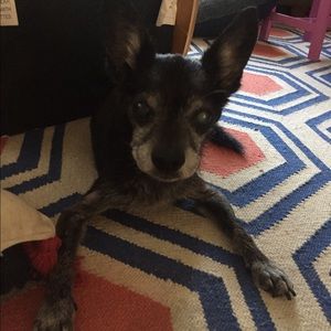 Meet your Posher, Jodi