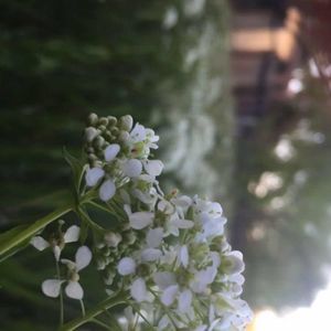 Meet your Posher, Sammy