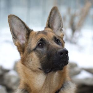 Meet your Posher, Delaney