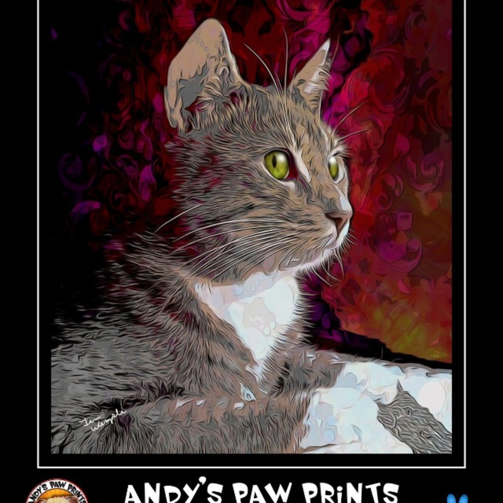 About me = Pets are my passion. Rescue and adopt