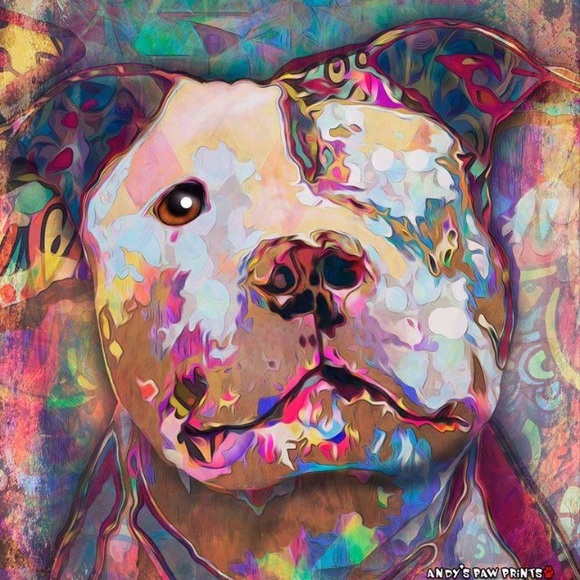 About me = Pets are my passion. Rescue and adopt - Picture 2 of 8