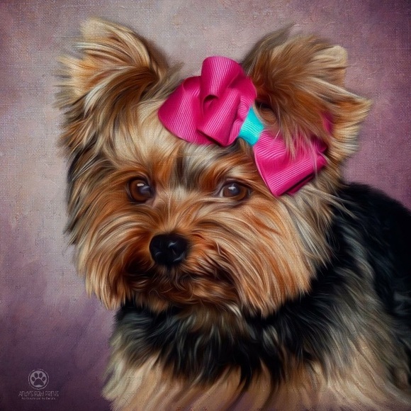 About me = Pets are my passion. Rescue and adopt - Picture 4 of 8