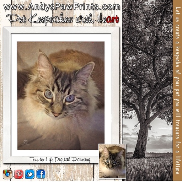 About me = Pets are my passion. Rescue and adopt - Picture 5 of 8