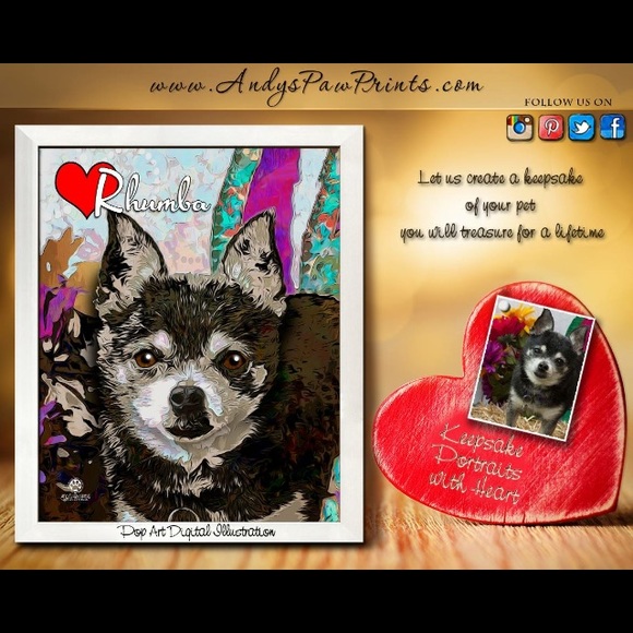 About me = Pets are my passion. Rescue and adopt - Picture 7 of 8