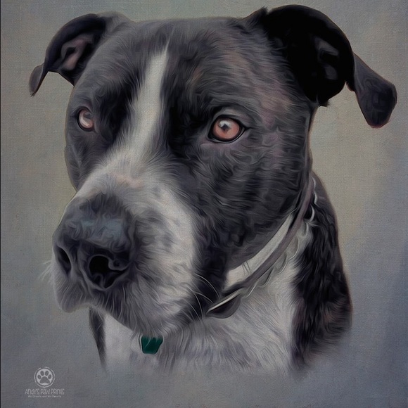 About me = Pets are my passion. Rescue and adopt - Picture 8 of 8