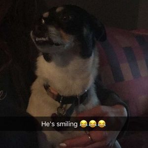 Meet your Posher, Tammy