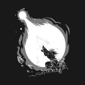 Meet your Posher, Bashir