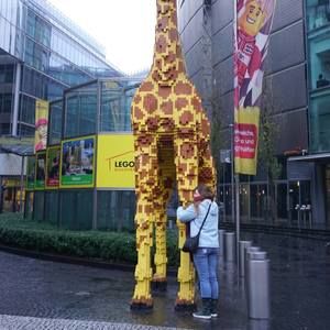 Meet your Posher, Camille