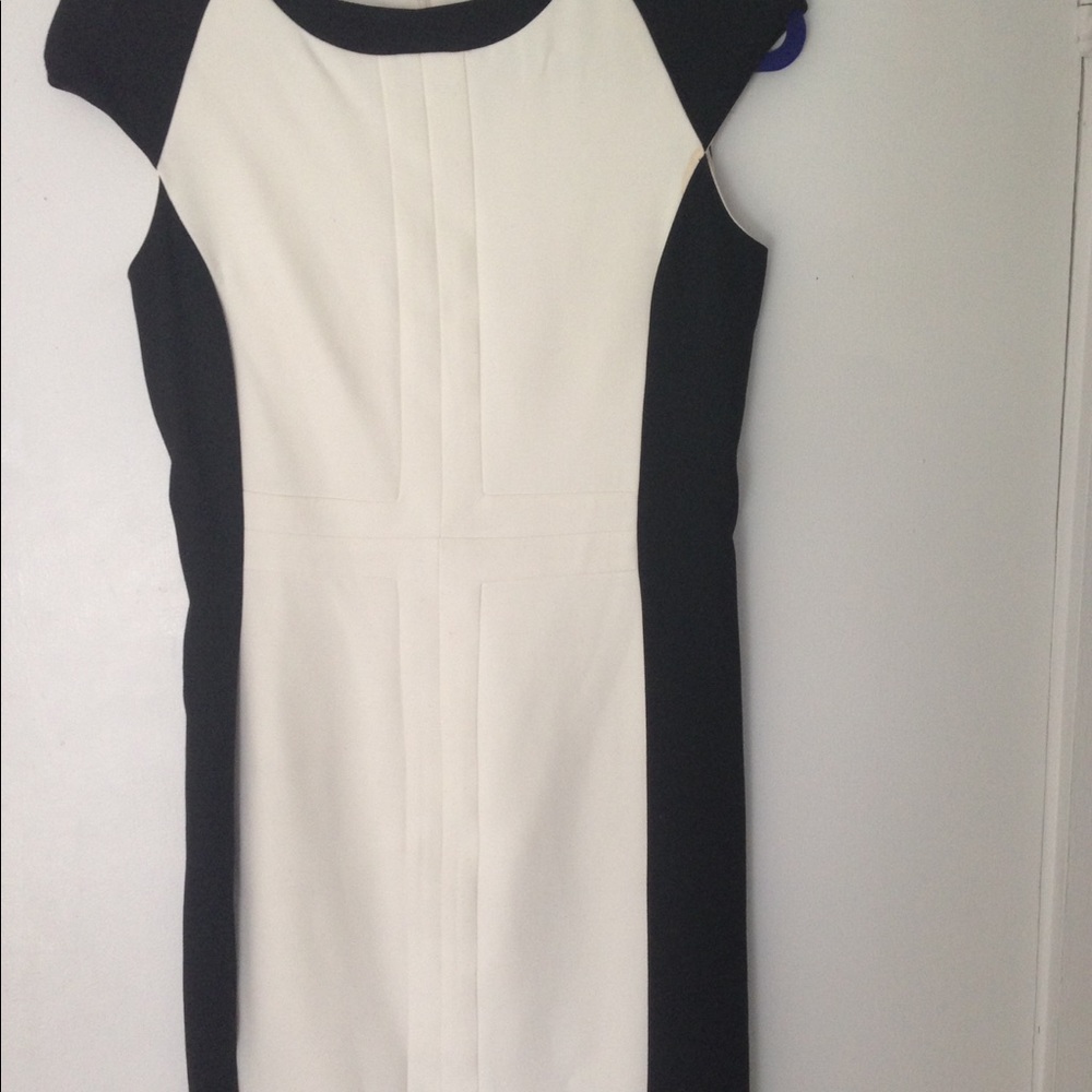 🌟 Gorgeous Color Block Dress - Zara 🌟