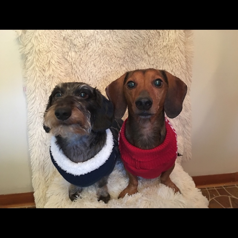 Meet your Posher, Brandie