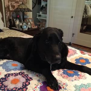 Meet your Posher, Cheryl