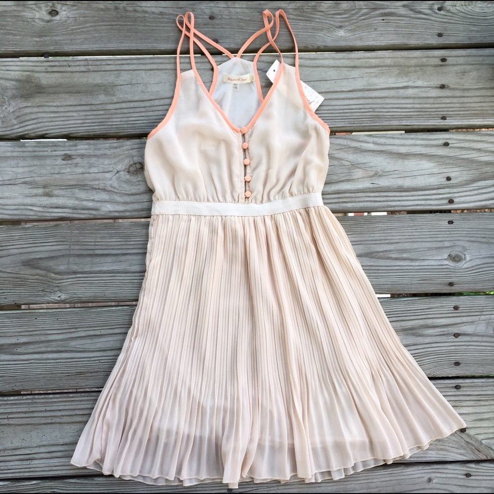 NWT Pleated Dress