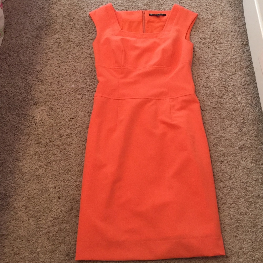 Antonio Melani dress