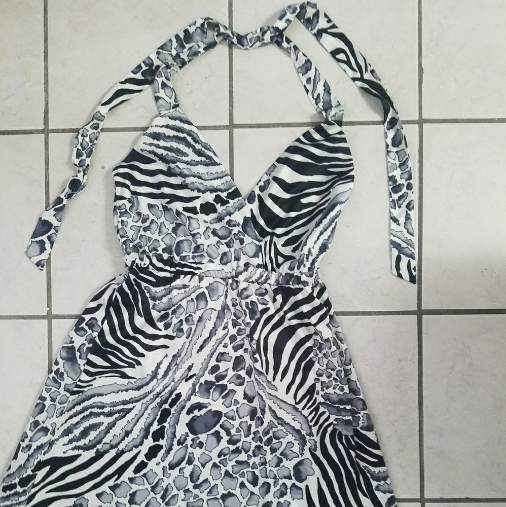 Zebra Maxi Dress