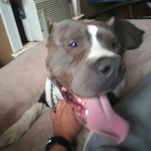 Meet your Posher, Eva