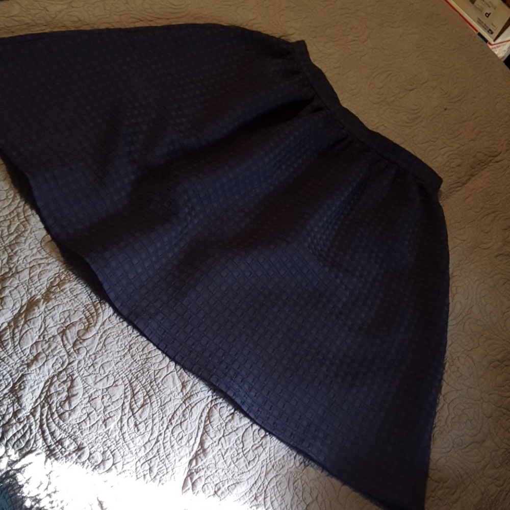 Navy Topshop Skirt