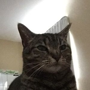 Meet your Posher, Roseanne