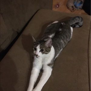 Meet your Posher, Donna