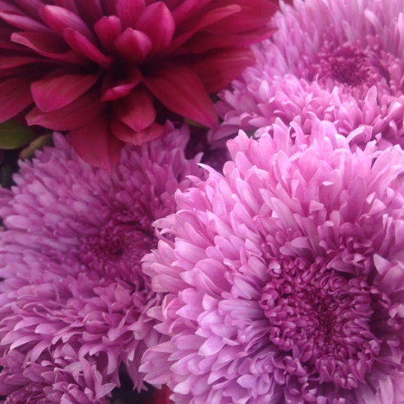 Meet your Posher, Stephanie - Picture 1 of 1