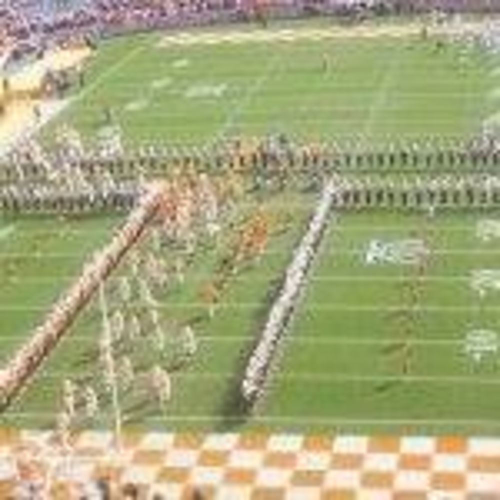 Meet your Posher, Carol