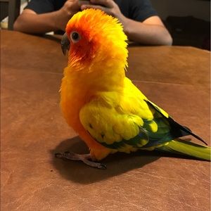 Meet your Posher, Janet