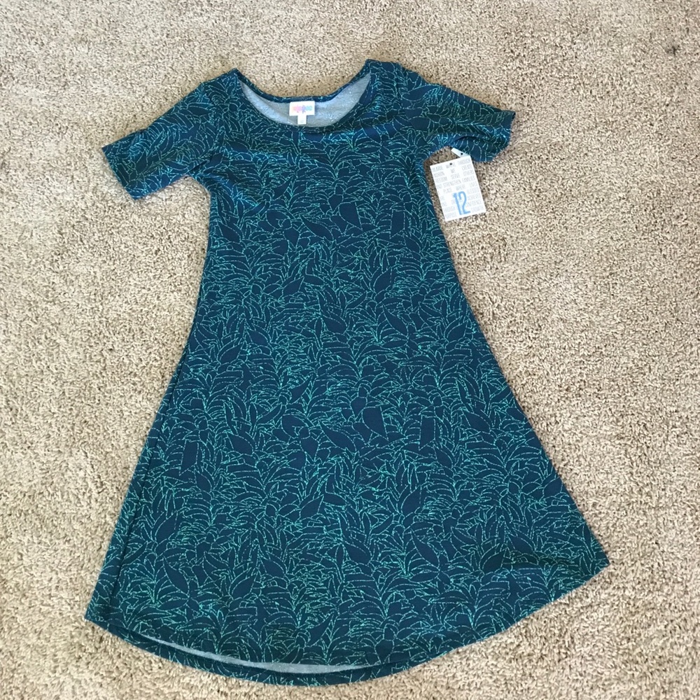 BNWT Lularoe Adeline dress