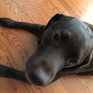 Meet your Posher, Angela