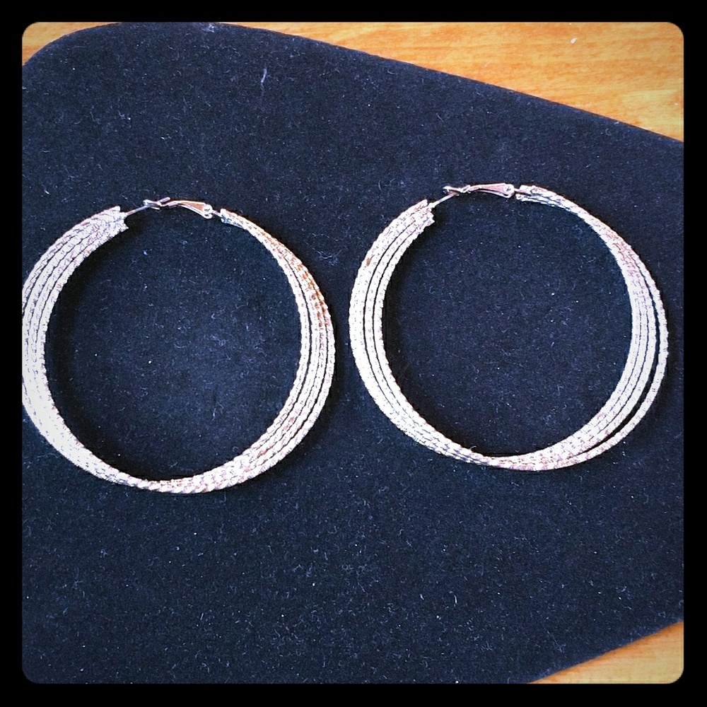 Large Hoop Earrings