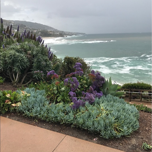 Meet your Posher, B - Picture 1 of 1