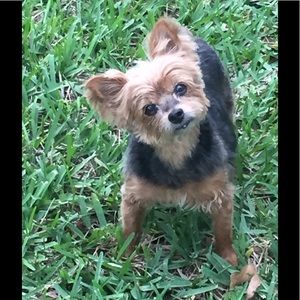 Meet your Posher, Barbara