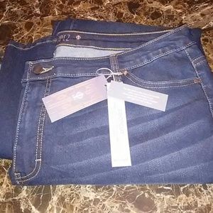 Jennifer Lopez Jeans Plus