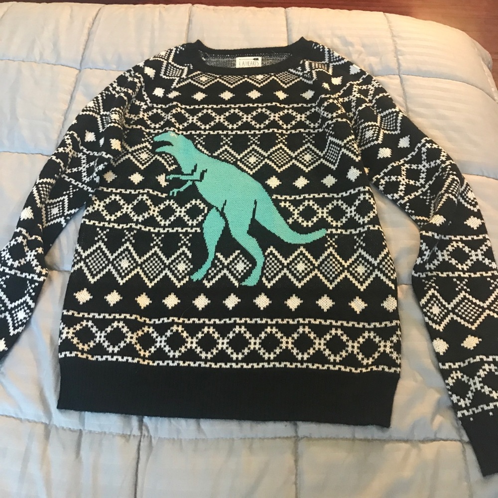 Dinosaur sweater