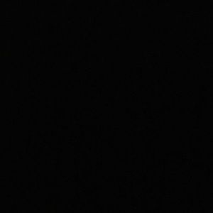 Meet your Posher, Shane