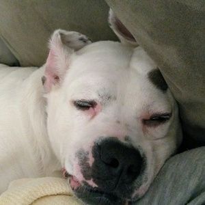 Meet your Posher, Denise