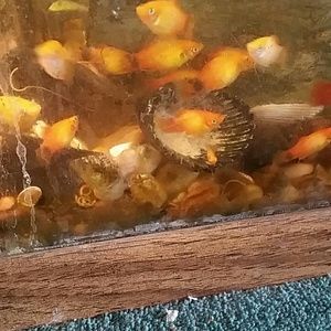 Meet your Posher, Sheri