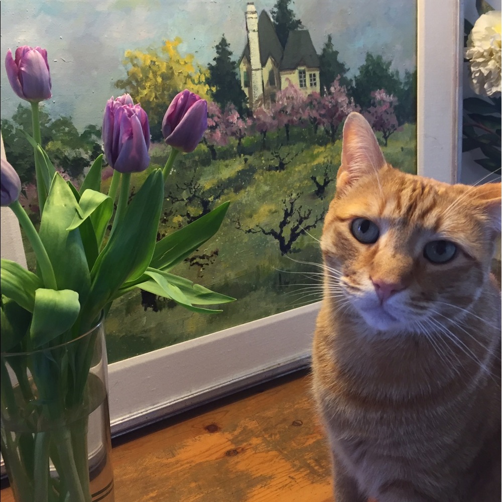 Meet your Posher, Taylor