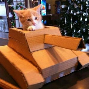 Meet your Posher, Aurora