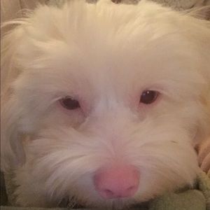 Meet your Posher, Shari