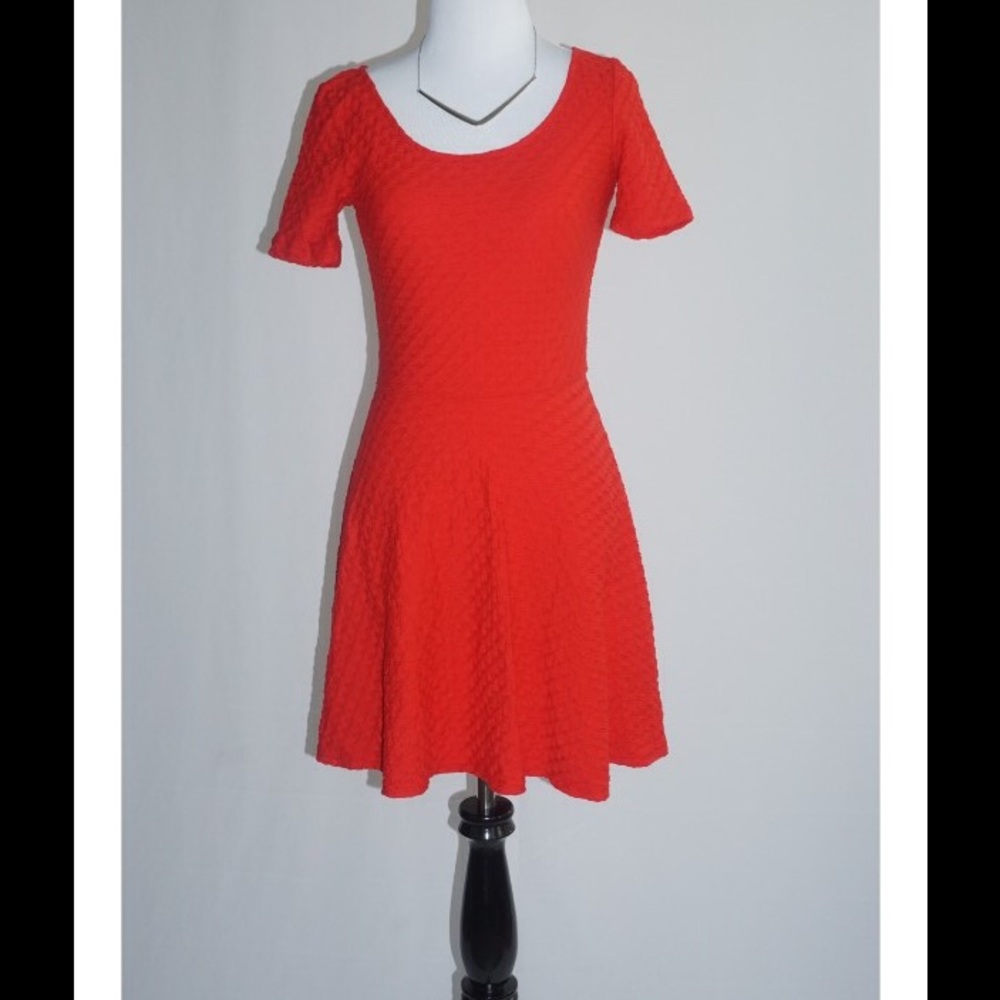 Textured Skater Dress