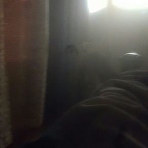 Meet your Posher, Rocky