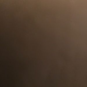 Meet your Posher, Darius