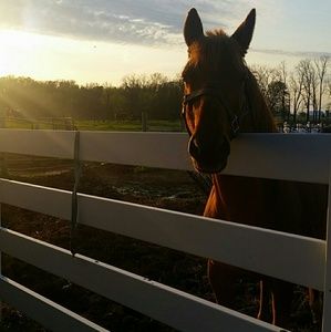 Meet your Posher, Emma