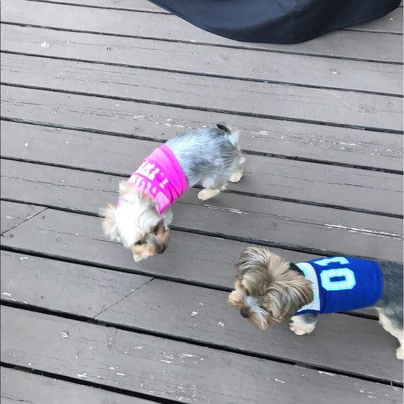 Meet your Posher, Priscila - Picture 3 of 6