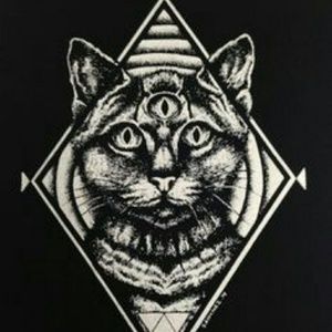 Meet your Posher, Timothy